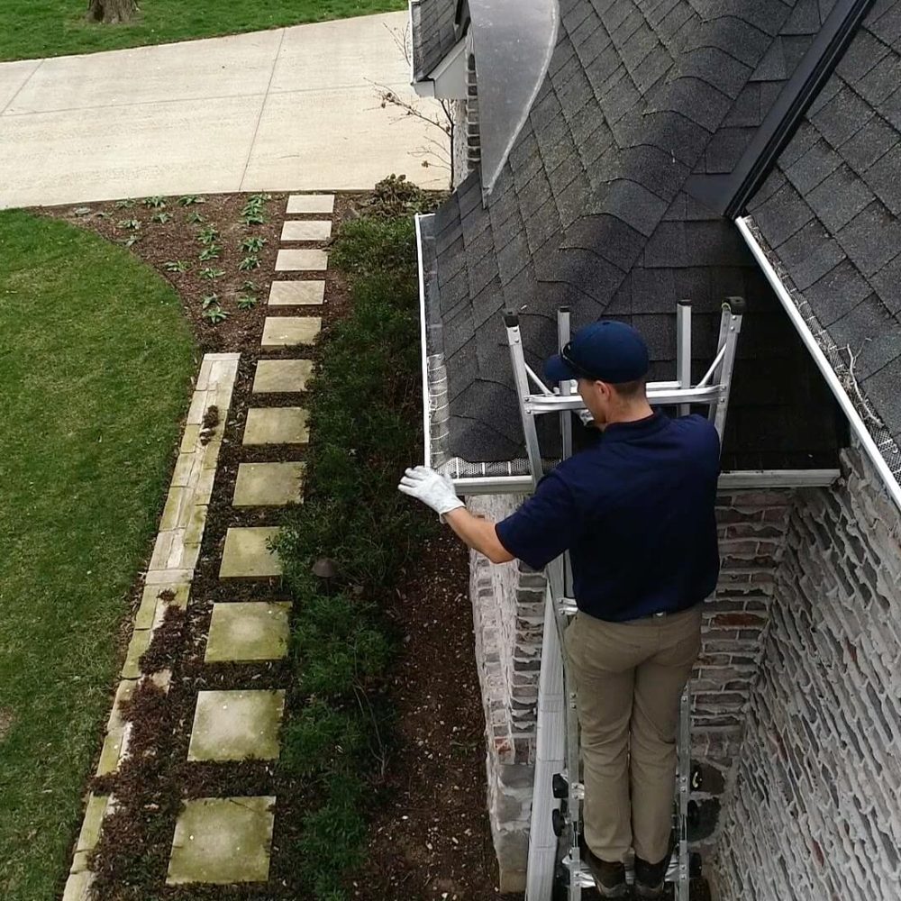 Gutter Cleaning Professional